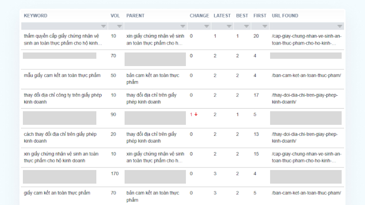 Case Study SEO cho công ty luật