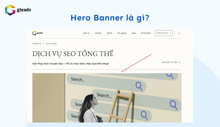 Hero banned là gì?