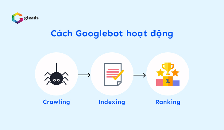 Googlebot hoạt động theo 3 giai đoạn Crawling - Indexing - Ranking