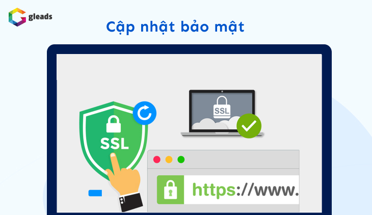 Cập nhật bảo mật website